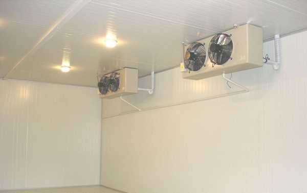 冷庫是否可以起到殺菌消毒的作用？