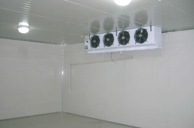 建造一個果蔬保鮮冷庫需要多少錢？