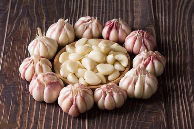 大蒜冷庫多少錢一平方？大蒜保鮮冷庫建造溫度及造價